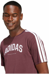 adidas camiseta manga corta hombre M C COLLEG TEE 04