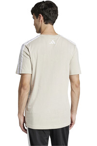 adidas camiseta manga corta hombre M C COLLEG TEE vista trasera