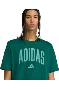adidas camiseta manga corta hombre M COLLEGIATE T 03