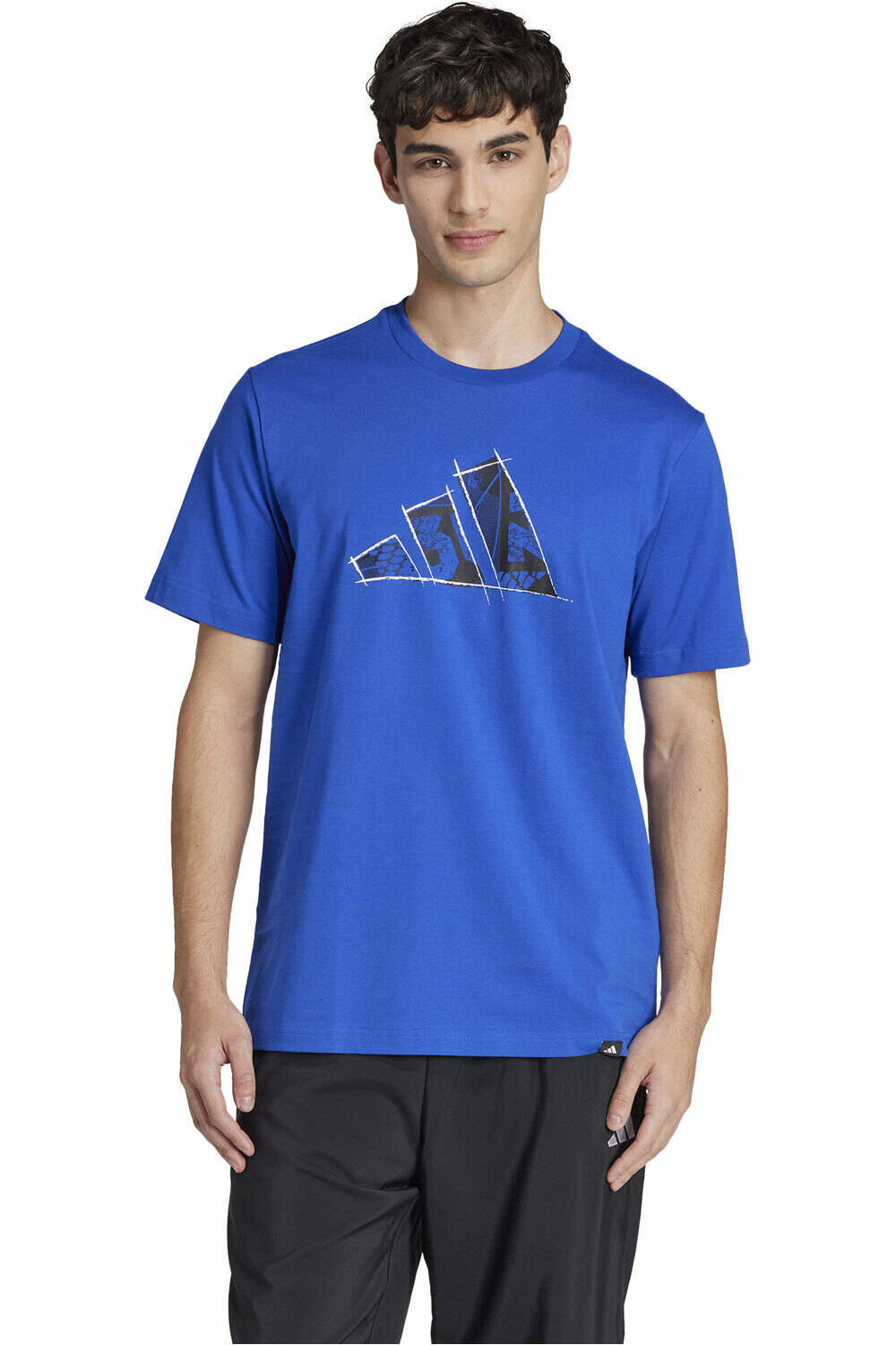 adidas camiseta manga corta hombre M PHOTO TEE 2 vista frontal
