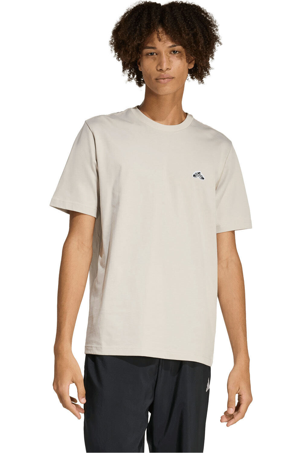 adidas camiseta manga corta hombre M S SLIDE TR T vista frontal