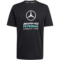MERCEDES-AMG PETRONAS FORMULA 1 TEAM DNA GRAPHIC