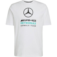 MERCEDES-AMG PETRONAS F1 DNA