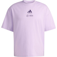 adidas camiseta manga corta hombre MERCEDES - AMG PETRONAS FORMULA 1 05