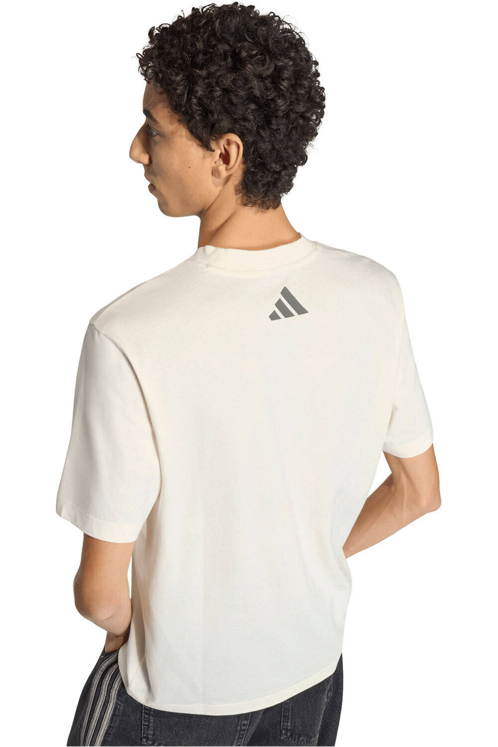 adidas camiseta manga corta hombre MERCEDES - AMG PETRONAS FORMULA 1 TEAM SILVER ARROWS 01 03