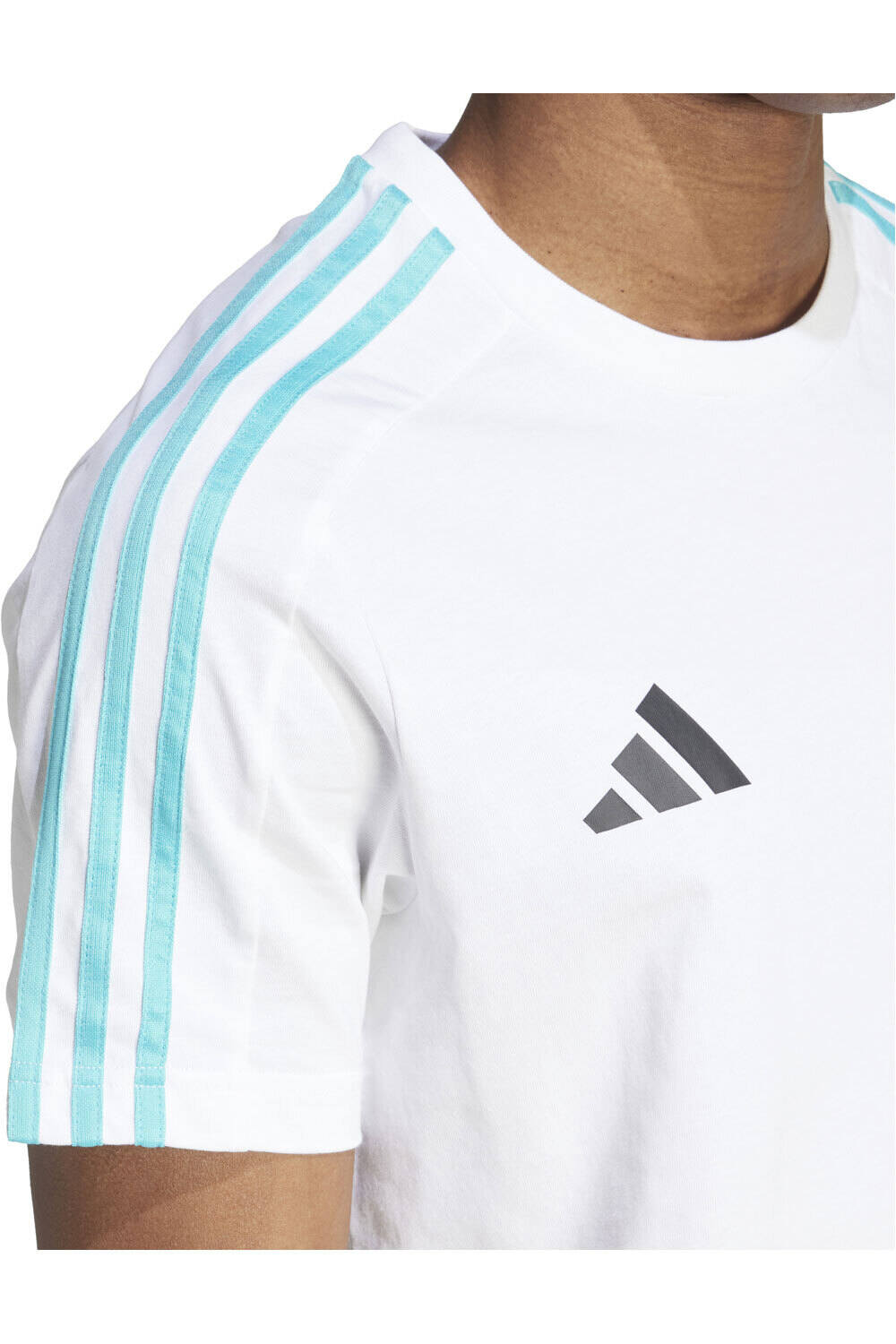 adidas camiseta manga corta hombre MERCEDES AMG PETRONAS F1 TEAM DNA 04