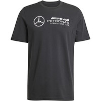 MERCEDES F1 TEAM DNA GRAPHIC
