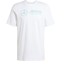 MERCEDES F1 TEAM DNA GRAPHIC