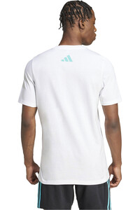 adidas camiseta manga corta hombre MERCEDES F1 TEAM DNA GRAPHIC vista trasera
