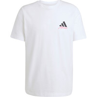 adidas camiseta manga corta hombre MESSI ICON GRAPHIC 04