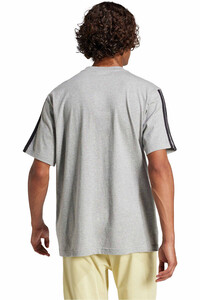 adidas camiseta manga corta hombre _M_M 3S SJ T B vista trasera