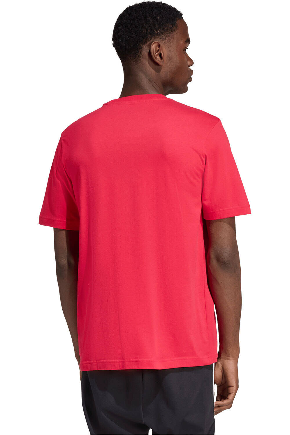 adidas camiseta manga corta hombre MOTORSPORT TRACK GRAPHIC vista trasera