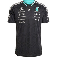 PILOTO MERCEDES-AMG PETRONAS F1