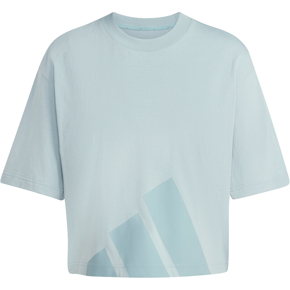 adidas camiseta manga corta mujer W BL SJ BF T vista detalle