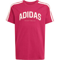 CODES COLLEGIATE GRAPHIC