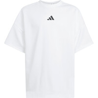 adidas camiseta manga corta niño FUTURE ICONS 04