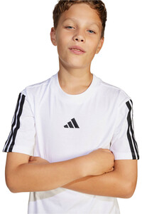 adidas camiseta manga corta niño J 3S TEE 160 03