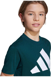 adidas camiseta manga corta niño J BL TEE 160 vista detalle