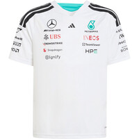 MERCEDES - AMG PETRONAS FORMULA 1 TEAM DRIVER