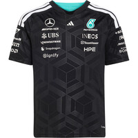 MERCEDES - AMG PETRONAS FORMULA 1 TEAM DRIVER
