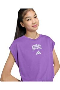 adidas camiseta manga corta niño SEASONALS COLLEGIATE vista detalle