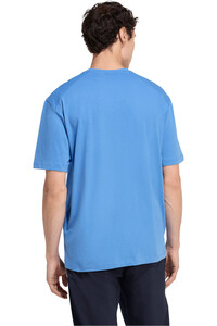adidas camiseta montaña manga corta hombre TERREX CLASSIC LOGO vista trasera