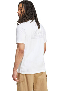 adidas camiseta montaña manga corta hombre TERREX GRAPHIC vista trasera