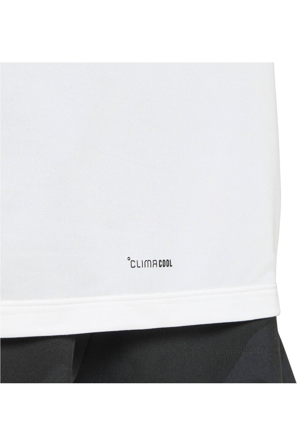 adidas camiseta montaña manga corta hombre TERREX MULTI CLIMACOOL LOGO TECH 03