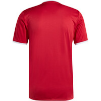 adidas camisetas fútbol manga corta GRFICA ENTRADA26 05