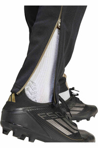 adidas chándal hombre SQ25 TR PNT 04