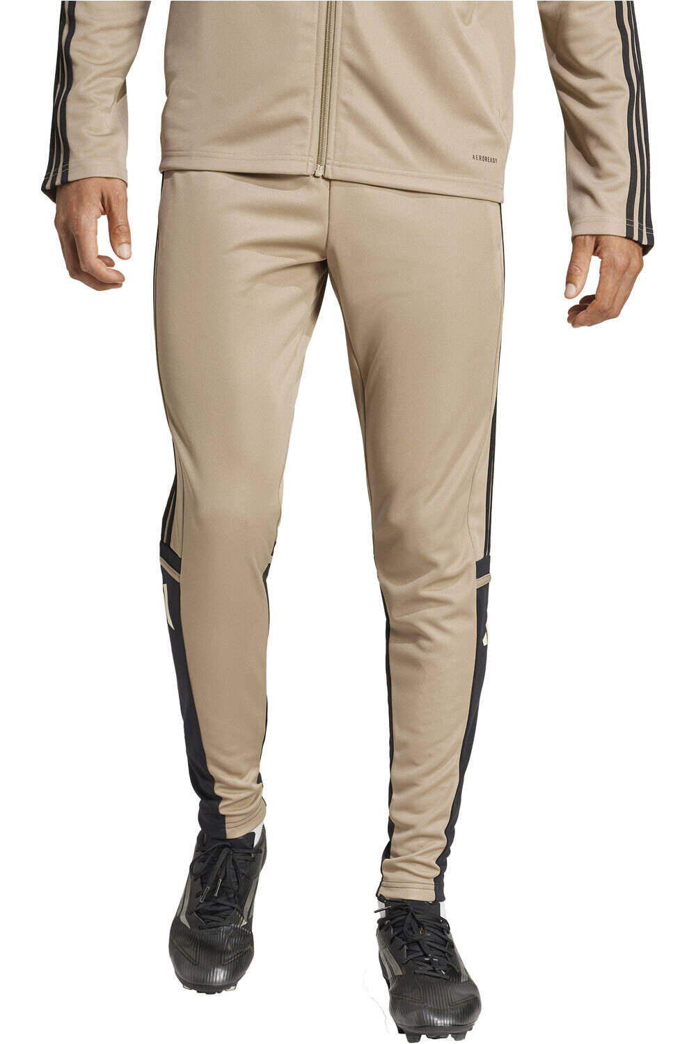 adidas chándal hombre SQ25 TR PNT vista frontal