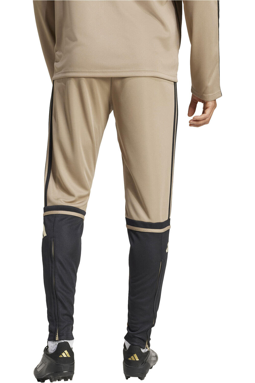 adidas chándal hombre SQ25 TR PNT vista trasera