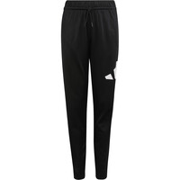 adidas chándal niño J BL TR TS 205 07