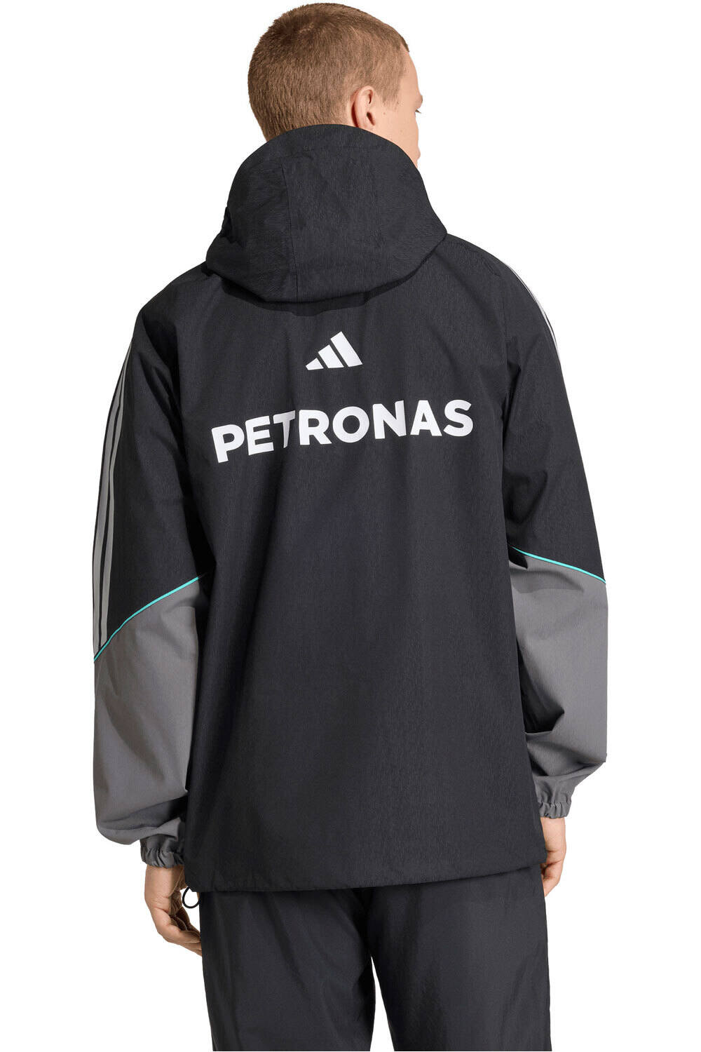 adidas chaquetas hombre MERCEDES-AMG PETRONAS F1TEAM vista trasera