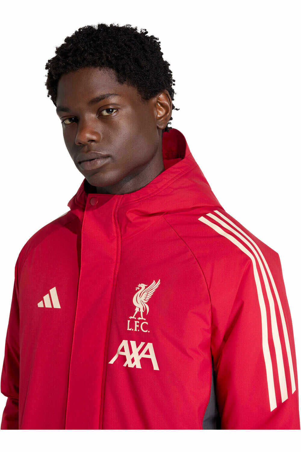 adidas chubasqueros y chaquetones entrenamiento fútbol PARKA LIVERPOOL FC TIRO 24 STADIUM vista detalle