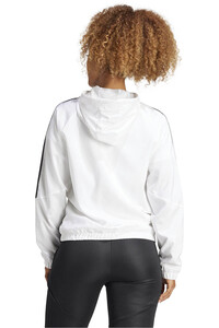 adidas chubasqueros y chaquetones entrenamiento fútbol TIRO24 WBW vista trasera