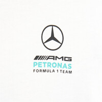 adidas conjunto bebé MERCEDES-AMG PETRONAS F1 DNA 05