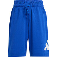 adidas conjunto junior LK BL T-SET 160 06