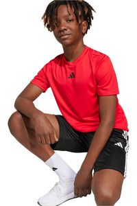 adidas conjunto junior TRAIN ESSENTIALS 03