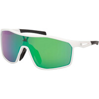 adidas gafas deportivas KALIDRO vista frontal