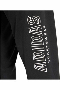 adidas pantalón hombre HOUSE OF TIRO WORDMARK 04