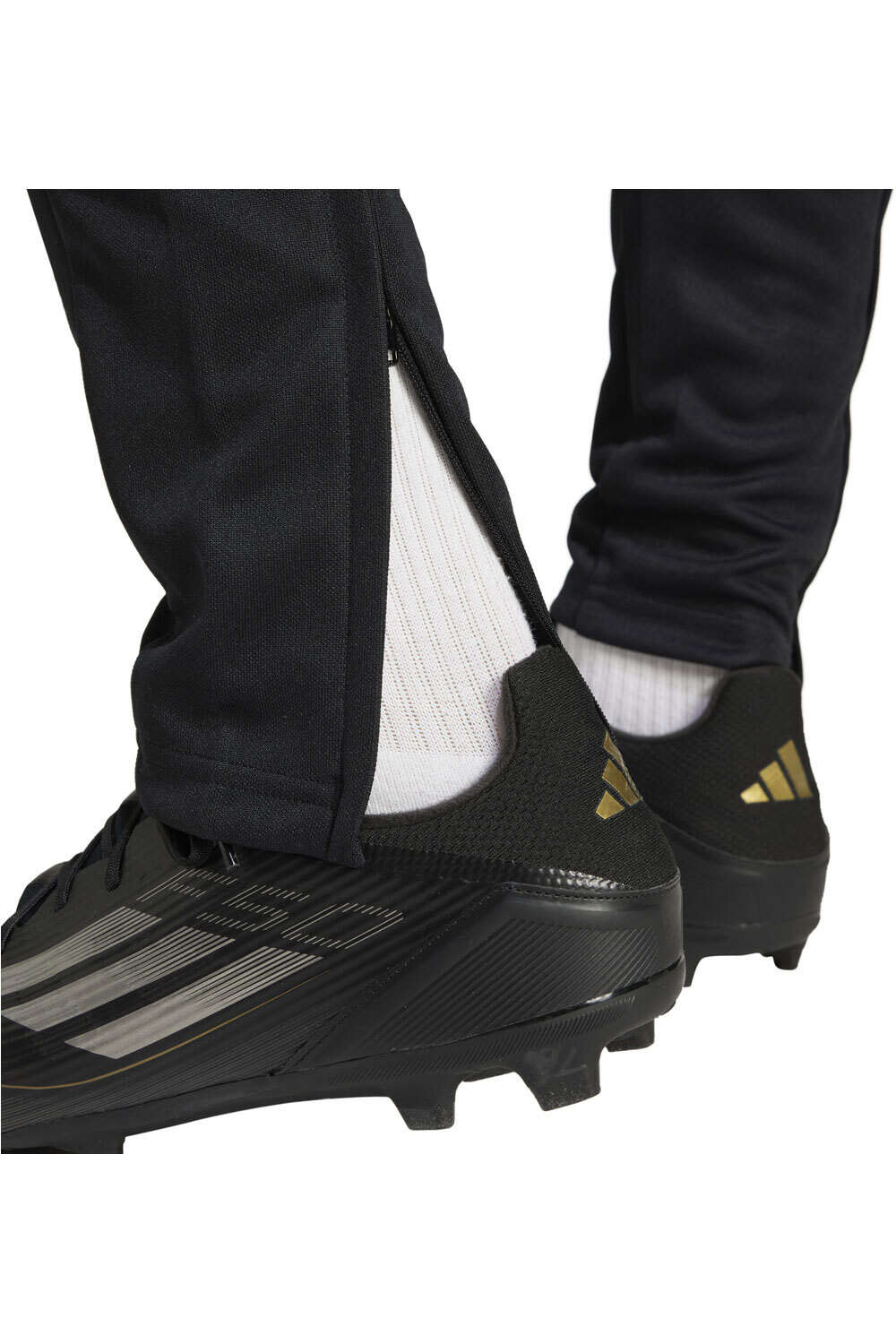 adidas pantalón hombre SQ25 TR PNT 03