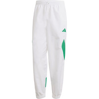 adidas pantalón hombre STADIUM 05