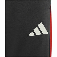 adidas pantalón niño AUDI FORMULA ONE TEAM DNA vista detalle