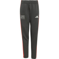 adidas pantalón niño AUDI FORMULA ONE TEAM DNA vista frontal
