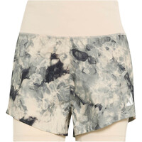 ADI365 SPRAY DYE 2IN1