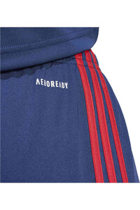 adidas pantalones cortos futbol SQUA25 SHO M 04