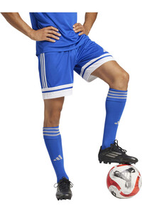 adidas pantalones cortos futbol SQUA25 SHO M vista detalle