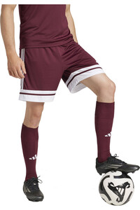 adidas pantalones cortos futbol SQUA25 SHO M vista detalle