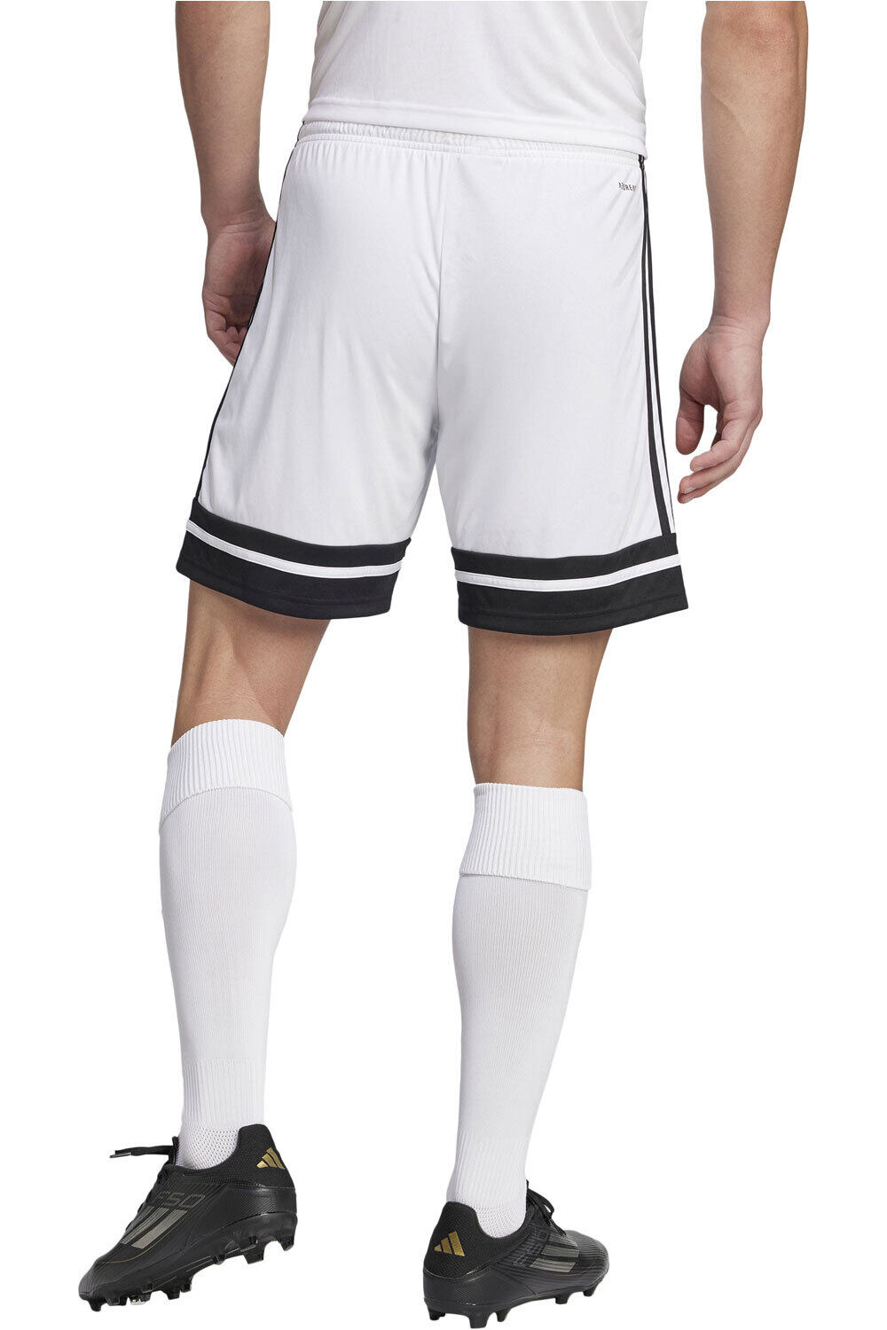 adidas pantalones cortos futbol SQUA25 SHO M vista trasera